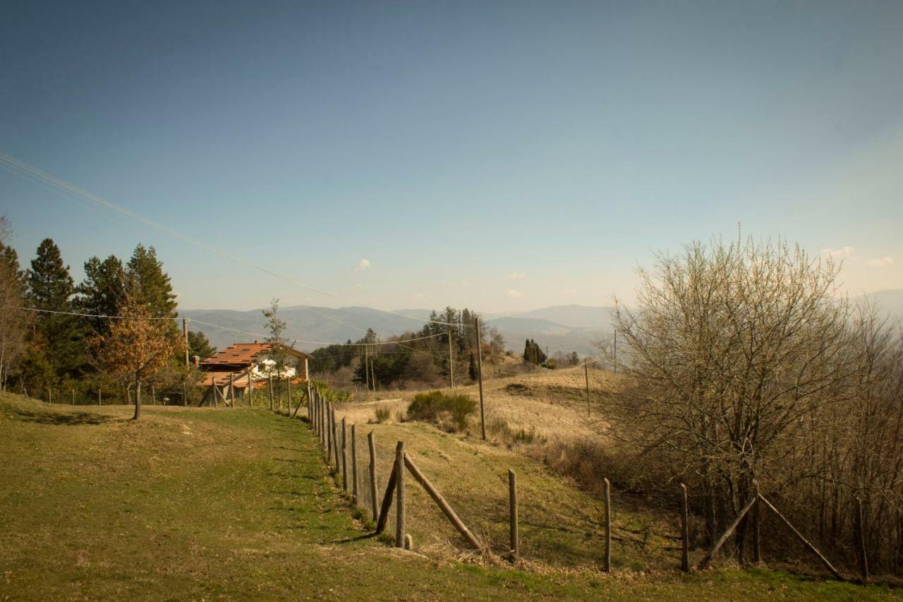 B&B Vista Casentino Пратовеккьо Экстерьер фото
